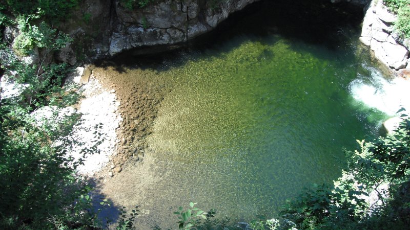 DSCF1778.JPG