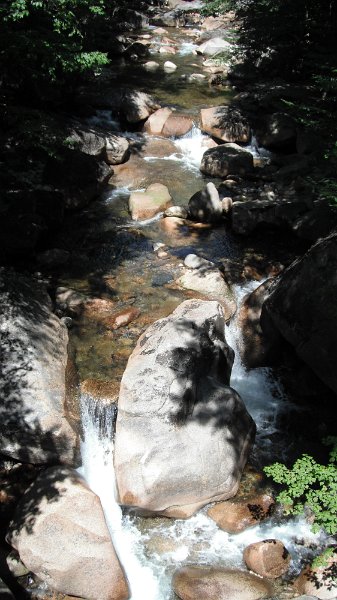 DSCF1782.JPG