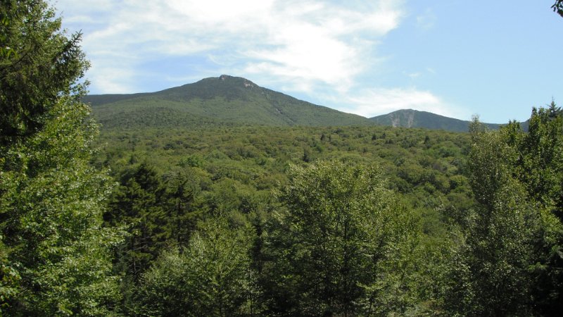 DSCF1788.JPG