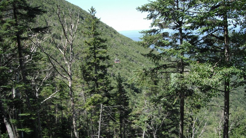 DSCF1792.JPG