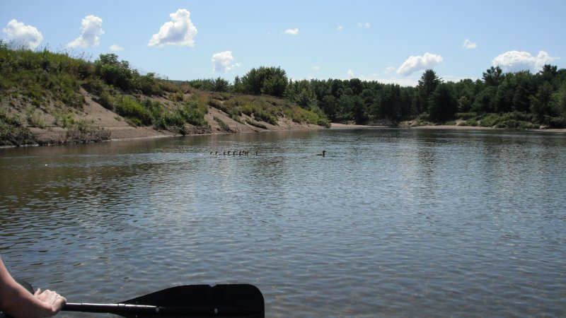 DSCF1819.JPG