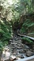 DSCF1763