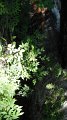 DSCF1776