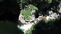 DSCF1779