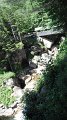 DSCF1780