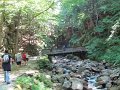 IMG_1542