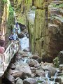 IMG_1544