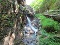 IMG_1546