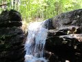 IMG_1547