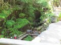 IMG_1549