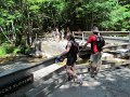 IMG_1550