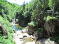 IMG_1552