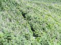 IMG_1563