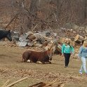 20150405_154318