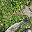 20150524_152033