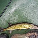 20150620_105136