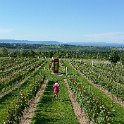 20150703_173725
