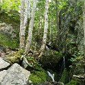 20150704_141629