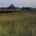 20150705_072320-PANO