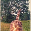 20150706_201743-EFFECTS