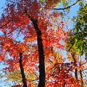 20151012_161433_001