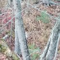 20151030_172437-1