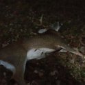 20151110_165122