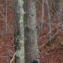 20151113_131816