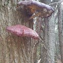 20151212_123955