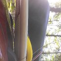 IMG_20150524_173341-nopm-