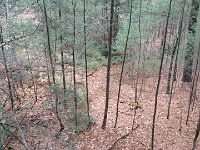 1477684829732  Breakneck (lease) looking back towards the 1st legit car parking spot)