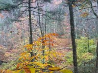 FB IMG 1477083428820