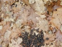 FB IMG 1482934652388