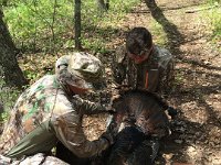 download 20160514 131929