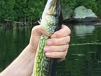 download 20160623 202226-1