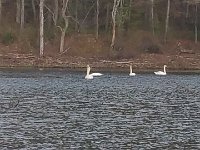 image-20160510 173532