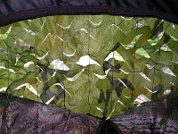 image-20160521 075126