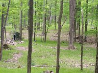 image-20160521 121335