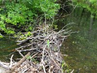 image-20160530 131635