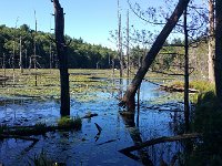 image-20160822 154122