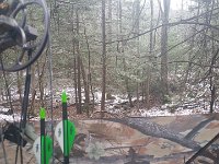 image-20161121 114433