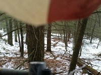 FB IMG 1482181055529