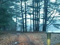 received 10154133149748697