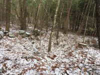 received 10207331369072518