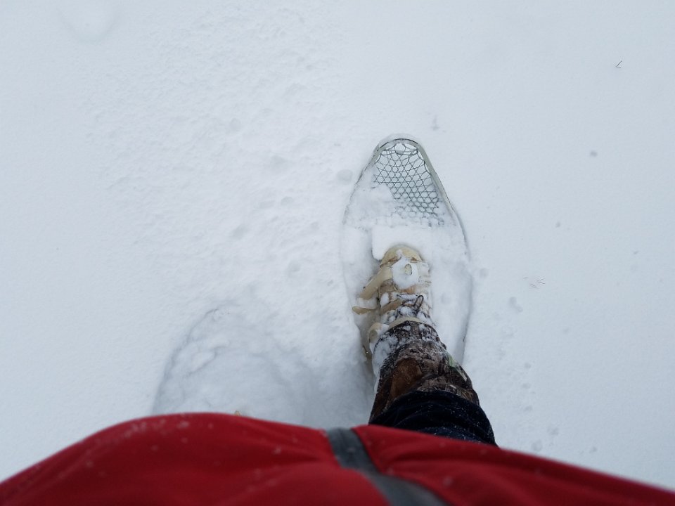 20170212 115206