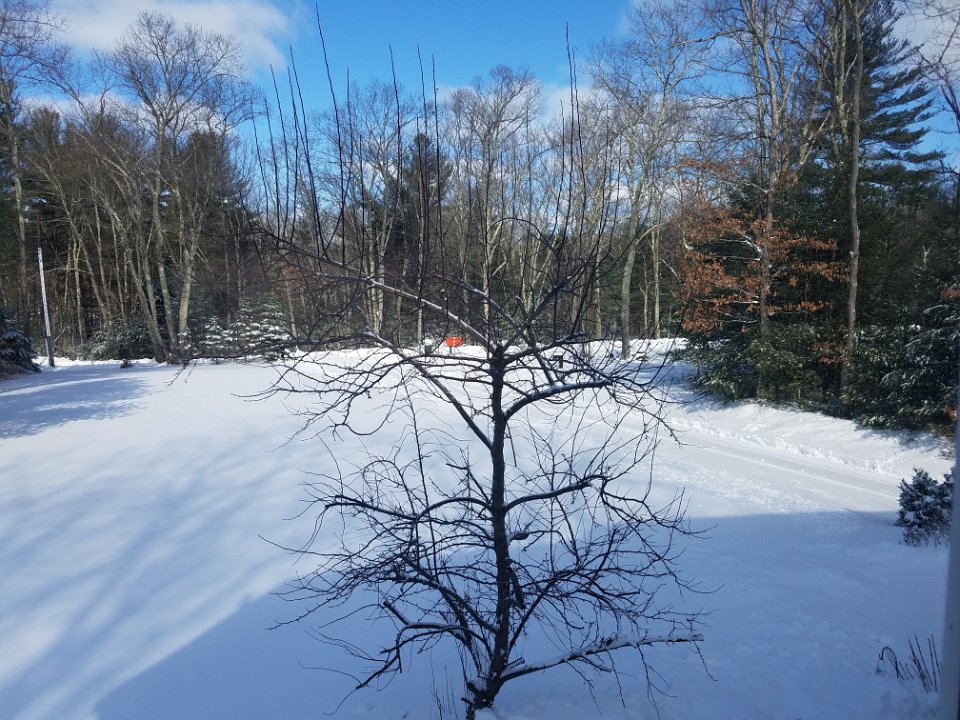 20170315 101343