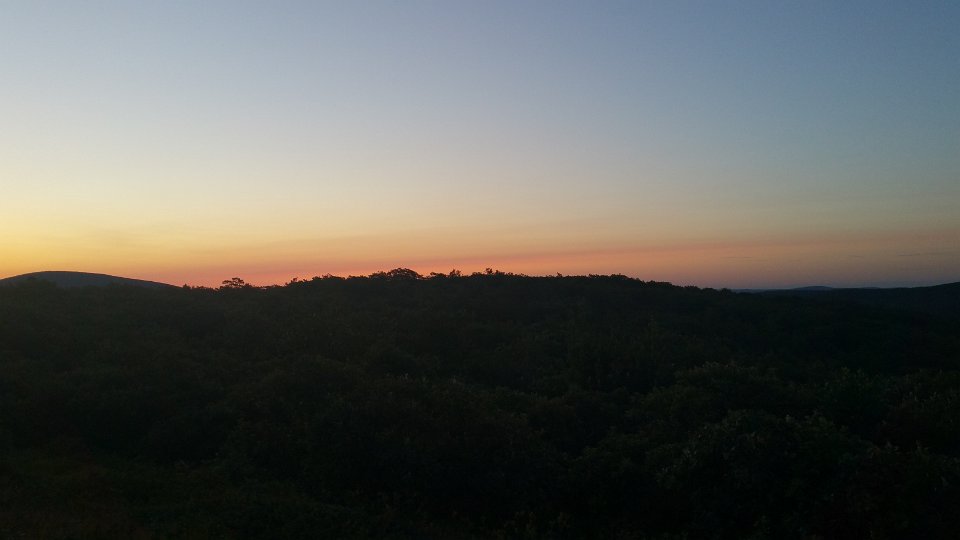 20170730 053825