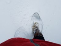 20170212 115206