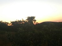20170730 053819