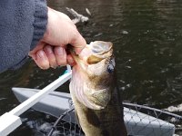 20170418 183434